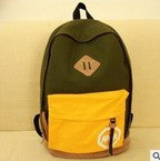 Casual Canvas Backpack School Bag in 6 Colors bwb