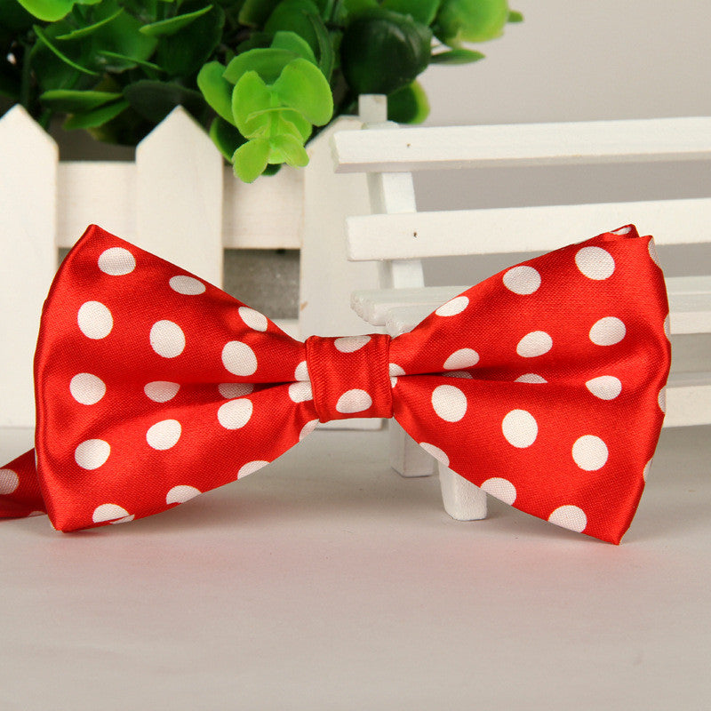 Fashion Bow Ties for Men