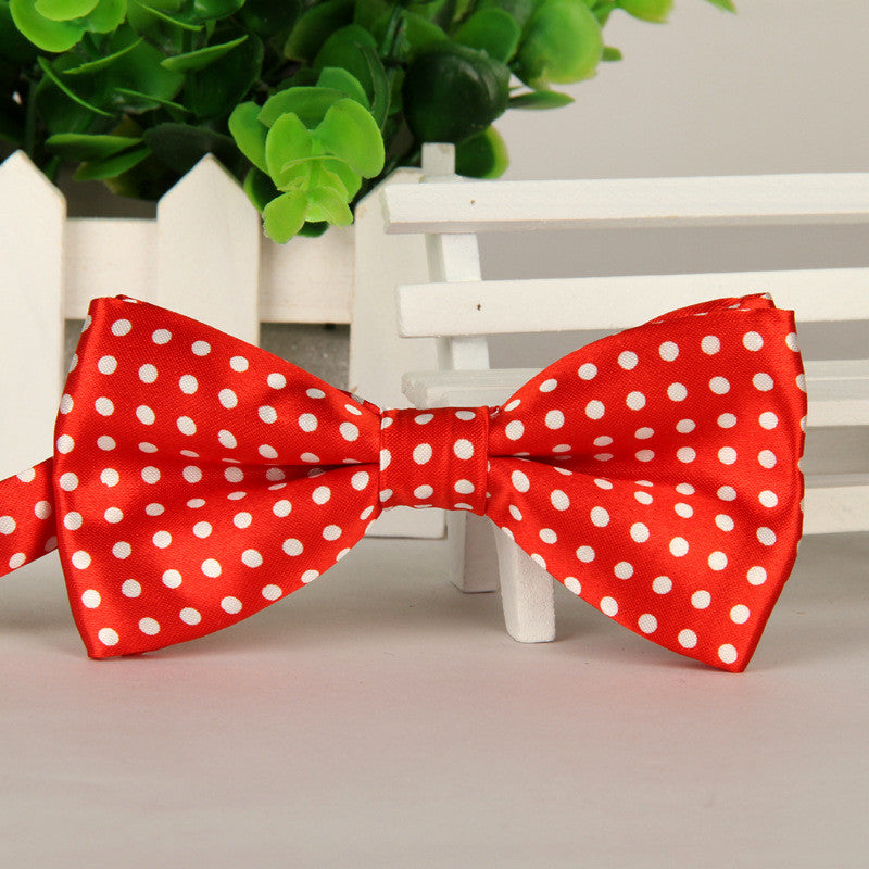 Fashion Bow Ties for Men