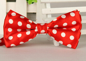 Fashion Bow Ties for Men