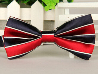 Fashion Bow Ties for Men