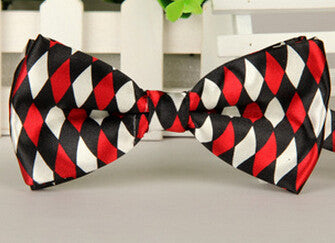 Fashion Bow Ties for Men