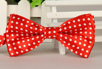 Fashion Bow Ties for Men