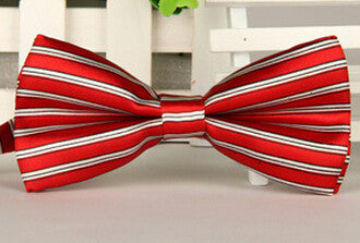 Fashion Bow Ties for Men