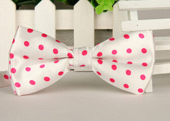 Fashion Bow Ties for Men