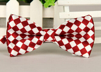 Fashion Bow Ties for Men