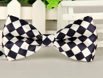 Fashion Bow Ties for Men