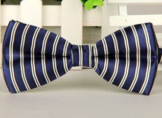 Fashion Bow Ties for Men