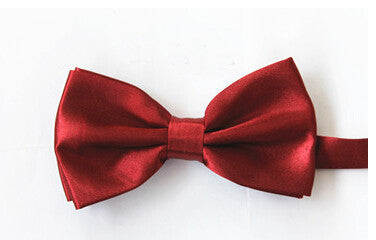 Hot Sale Bow Ties for Men