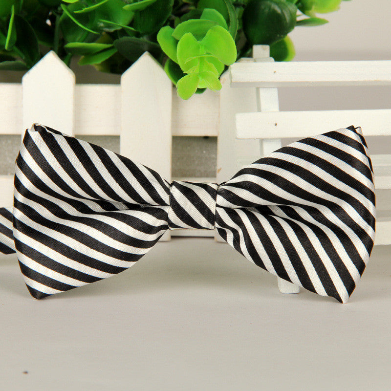 Fashion Bow Ties for Men